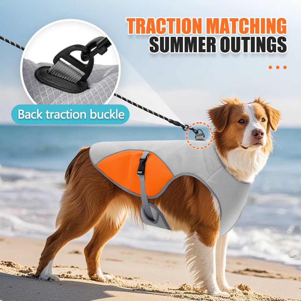 Dog Cooling Vest with Harness & Portable Water Bottle